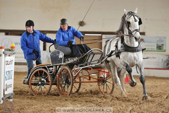 11.2.2017 - spřežení Slatiňany