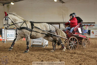11.2.2017 - spřežení Slatiňany