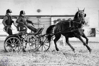 11.2.2017 - spřežení Slatiňany