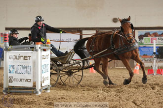 11.2.2017 - spřežení Slatiňany