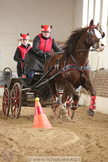11.2.2017 - spřežení Slatiňany