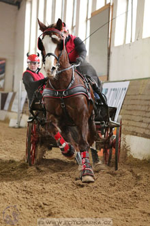 11.2.2017 - spřežení Slatiňany