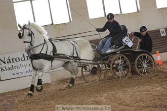 11.2.2017 - spřežení Slatiňany