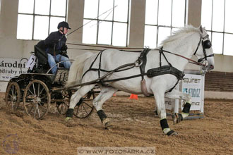 11.2.2017 - spřežení Slatiňany