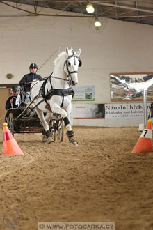 11.2.2017 - spřežení Slatiňany