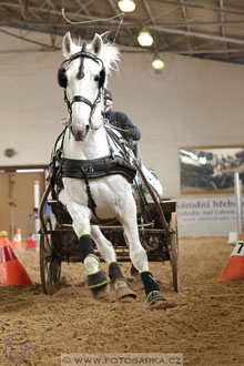 11.2.2017 - spřežení Slatiňany