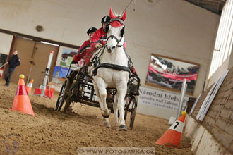 11.2.2017 - spřežení Slatiňany