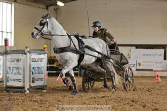 11.2.2017 - spřežení Slatiňany