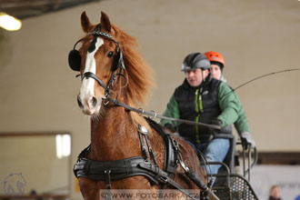11.2.2017 - spřežení Slatiňany