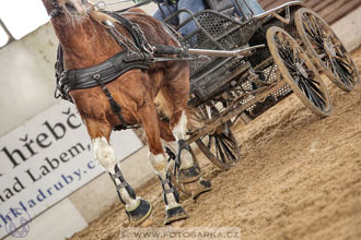 11.2.2017 - spřežení Slatiňany