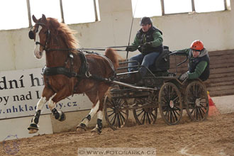 11.2.2017 - spřežení Slatiňany