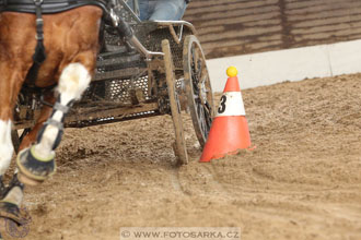 11.2.2017 - spřežení Slatiňany
