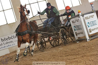 11.2.2017 - spřežení Slatiňany