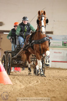 11.2.2017 - spřežení Slatiňany