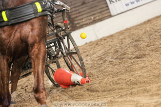 11.2.2017 - spřežení Slatiňany