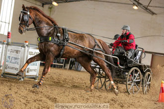 11.2.2017 - spřežení Slatiňany
