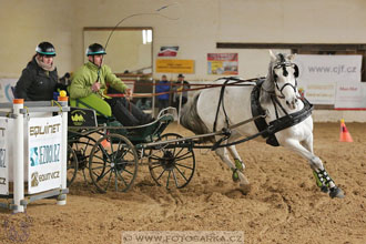 11.2.2017 - spřežení Slatiňany