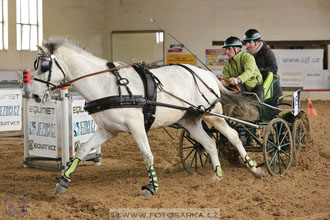 11.2.2017 - spřežení Slatiňany