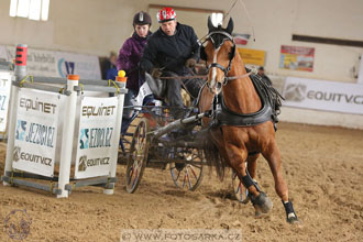 11.2.2017 - spřežení Slatiňany
