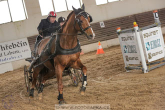11.2.2017 - spřežení Slatiňany
