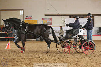 11.2.2017 - spřežení Slatiňany