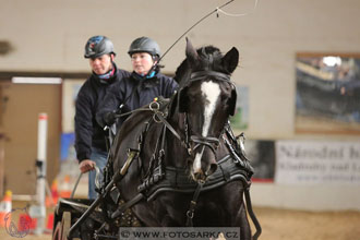 11.2.2017 - spřežení Slatiňany