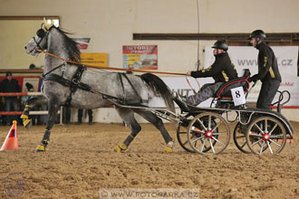 11.2.2017 - spřežení Slatiňany