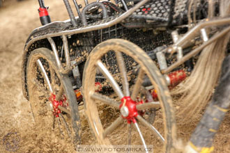 11.2.2017 - spřežení Slatiňany