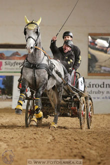 11.2.2017 - spřežení Slatiňany