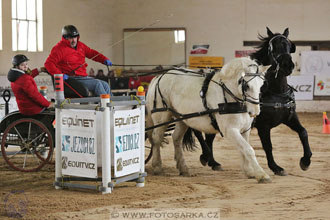 11.2.2017 - spřežení Slatiňany