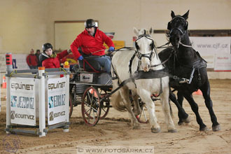 11.2.2017 - spřežení Slatiňany