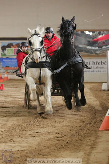 11.2.2017 - spřežení Slatiňany