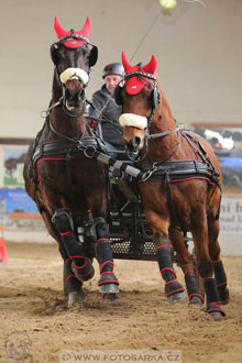 11.2.2017 - spřežení Slatiňany