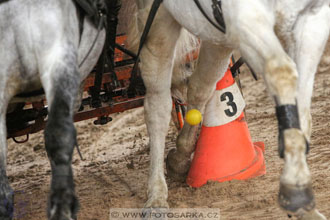 11.2.2017 - spřežení Slatiňany
