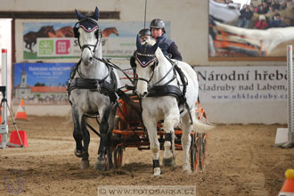 11.2.2017 - spřežení Slatiňany