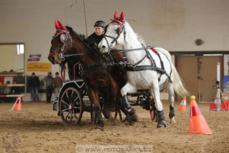11.2.2017 - spřežení Slatiňany
