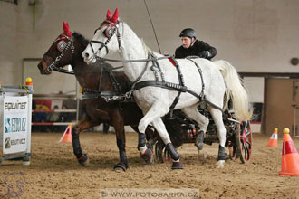 11.2.2017 - spřežení Slatiňany