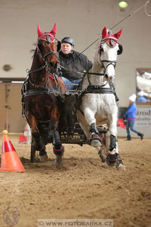 11.2.2017 - spřežení Slatiňany