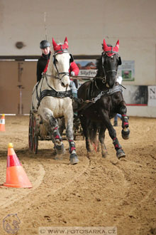 11.2.2017 - spřežení Slatiňany