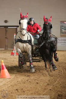 11.2.2017 - spřežení Slatiňany