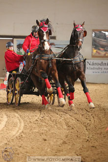 11.2.2017 - spřežení Slatiňany