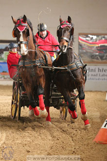 11.2.2017 - spřežení Slatiňany