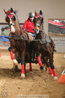 11.2.2017 - spřežení Slatiňany