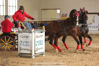 11.2.2017 - spřežení Slatiňany