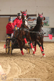11.2.2017 - spřežení Slatiňany
