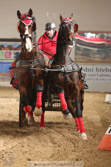 11.2.2017 - spřežení Slatiňany