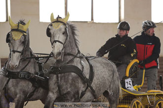 11.2.2017 - spřežení Slatiňany