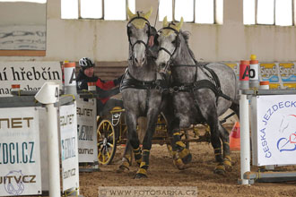 11.2.2017 - spřežení Slatiňany