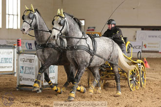 11.2.2017 - spřežení Slatiňany