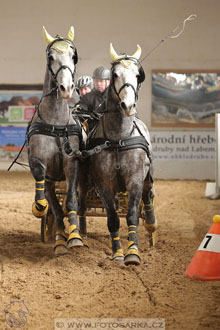 11.2.2017 - spřežení Slatiňany